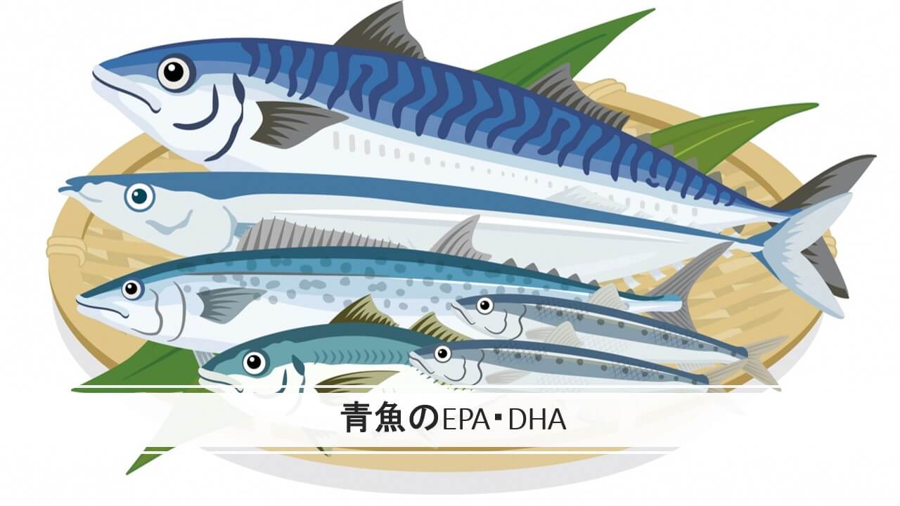 青魚のEPA・DHA