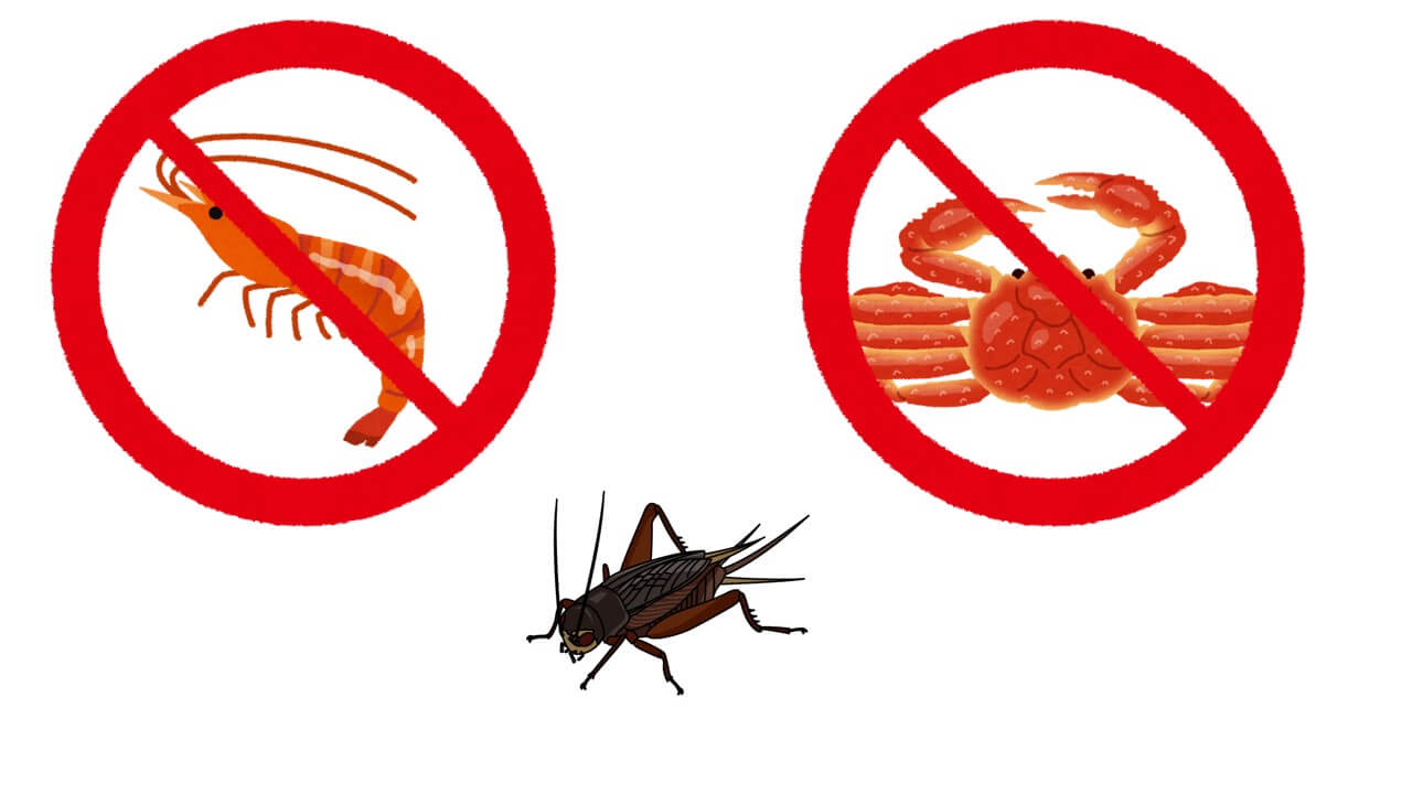 昆虫食と甲殻アレルギー
