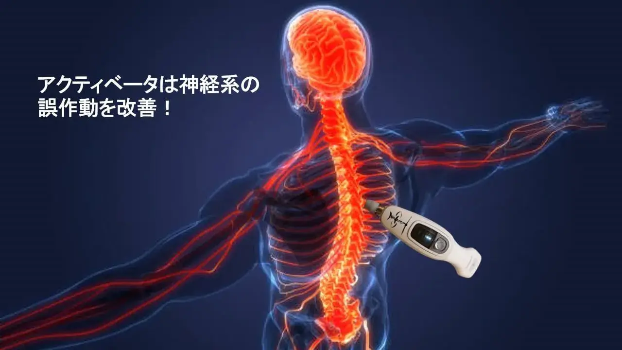 アクティベータ・メソッドは神経系の誤作動を改善、イメージ画像 【札幌谷井治療室】