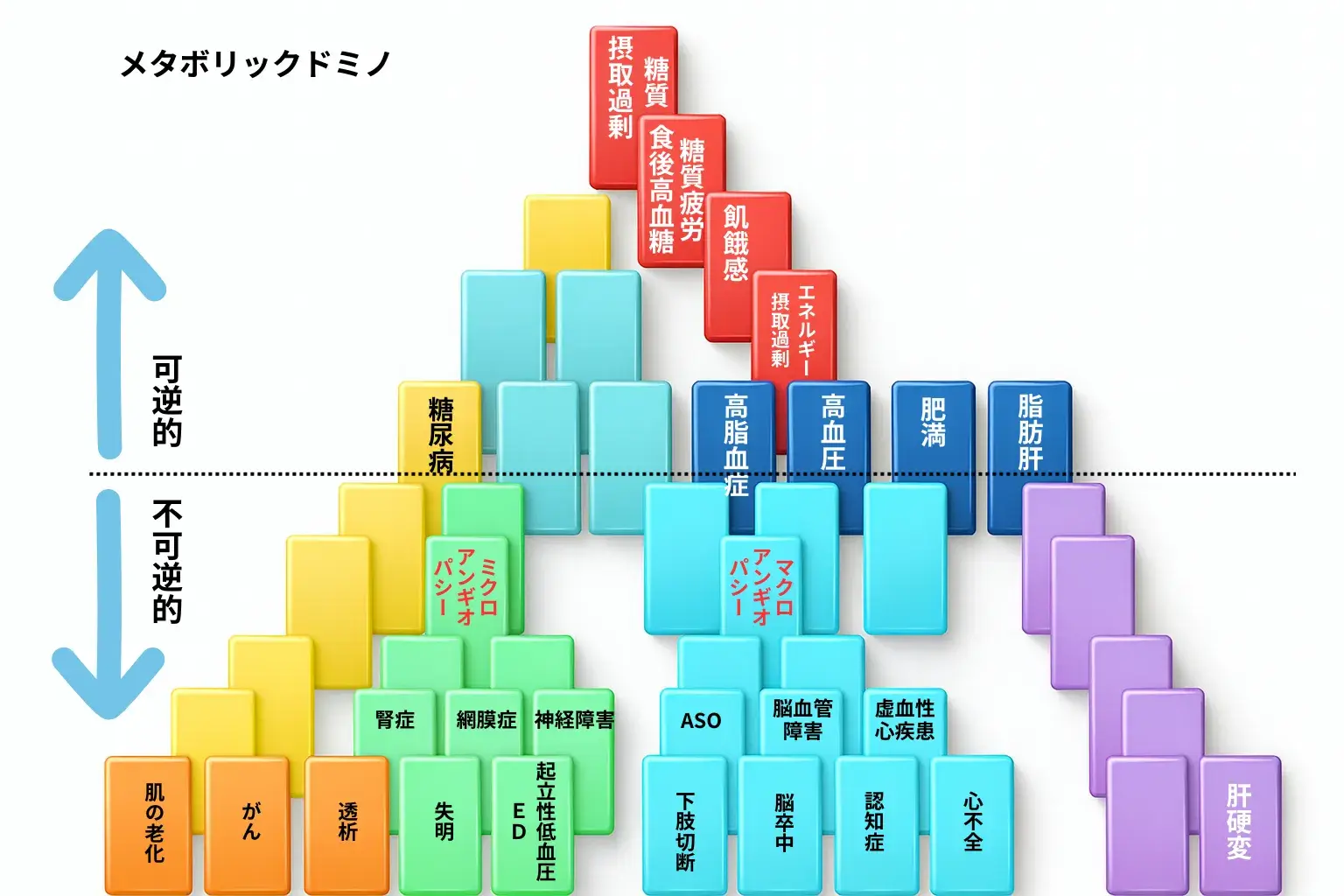 メタボリックドミノの関係性を示す画像(糖質疲労)